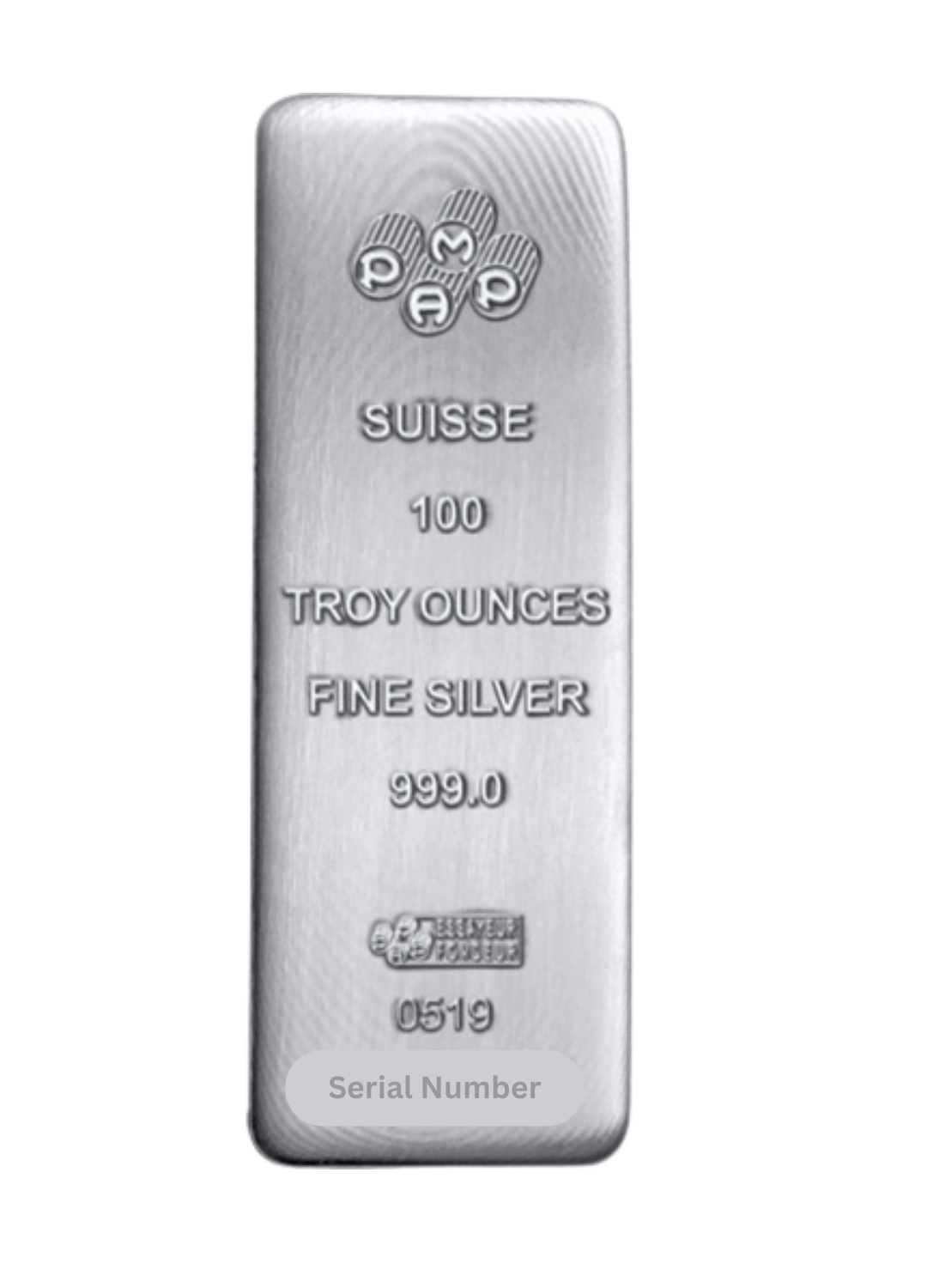 100 oz Pamp Suisse Silver Bar