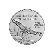 1 oz American Platinum Eagle Coin (Random Year)
