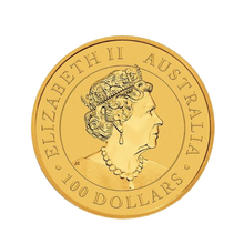 1 oz Australian Gold Kangaroo Coin (Random Year)