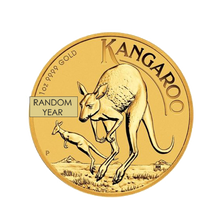 1 oz Australian Gold Kangaroo Coin (Random Year)