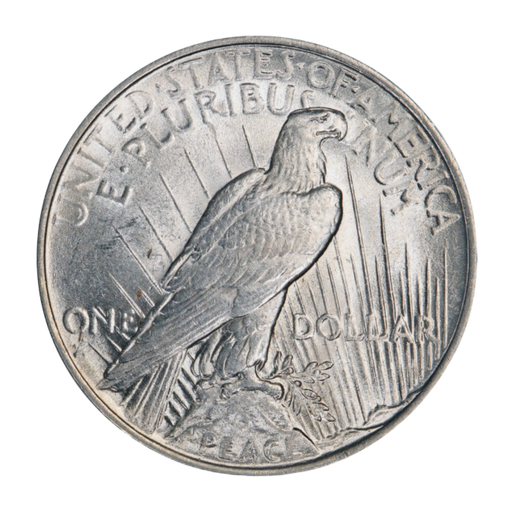 Peace Silver Dollar (Random)