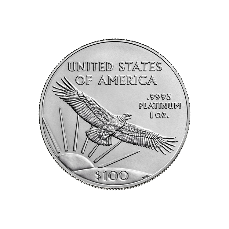 1 oz American Platinum Eagle Coin (Random Year)