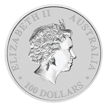 1 oz Australian Platinum Kangaroo Coin (Random Year)