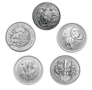 2 oz Silver Coin (Random Mint & Design)