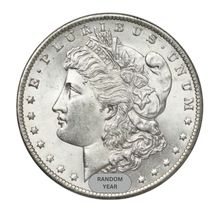 Morgan Silver Dollar (Random)