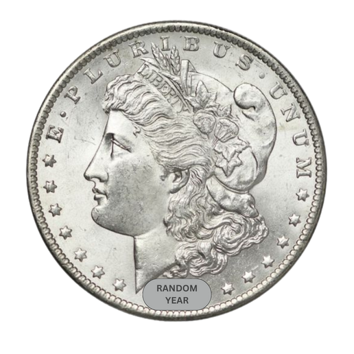 Morgan Silver Dollar (Random)