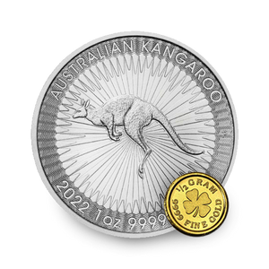 Gold and Silver Coin