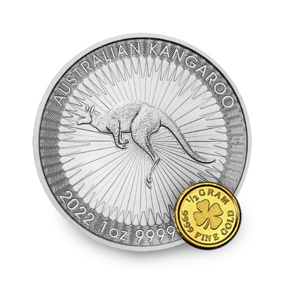 Gold and Silver Coin