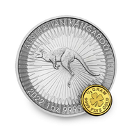 Gold and Silver Coin